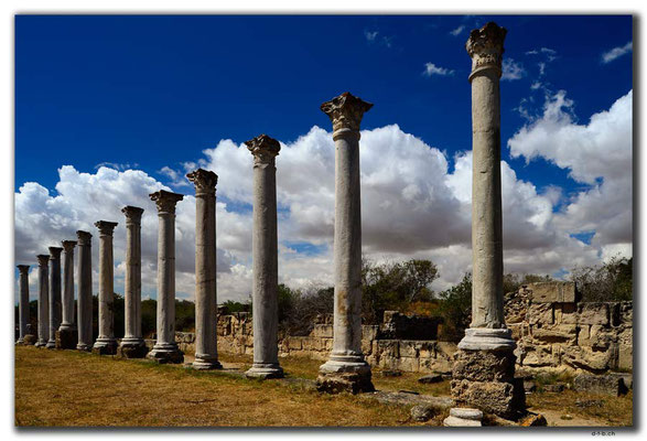 TR0571.Salamis.Columned Courtyard