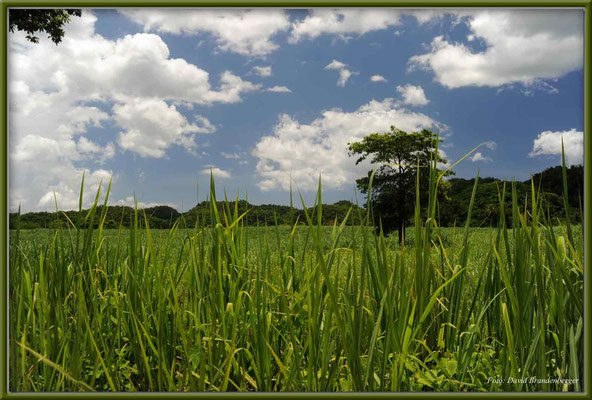 JM047.Landschaft