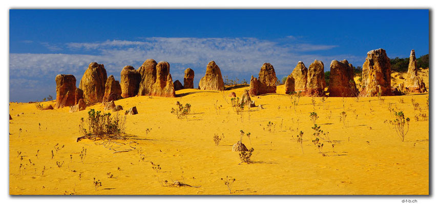 AU0592.Nambung N.P.Pinnacles