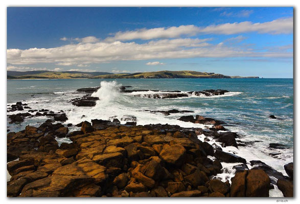 NZ0914.Curio Bay,Wave