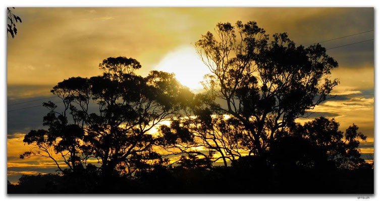 AU1459.Nicholson.Sunset