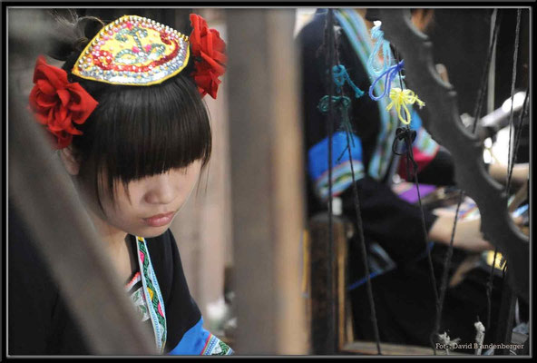 C1152 Shangri-La