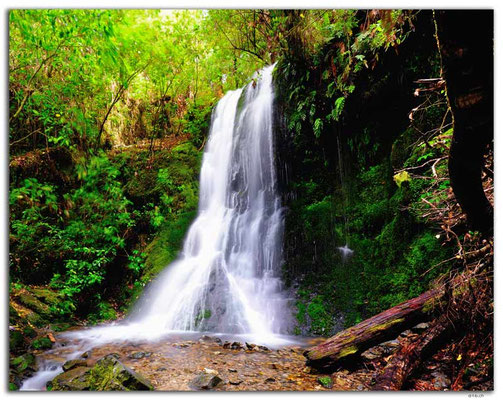 NZ0477.Pelorus Bridge.1.Waterfall