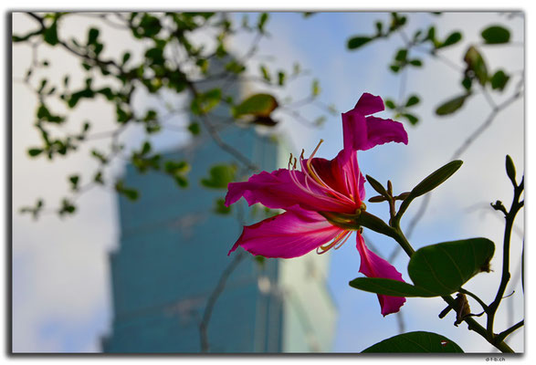 TW0014.Taipei.101