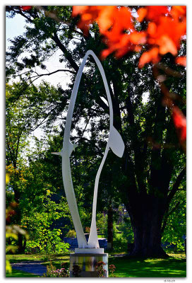 CA0885.Ottawa.Rise by Amy Thompson