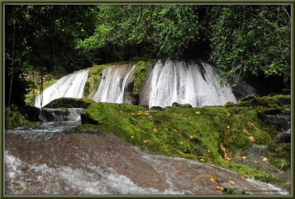 JM009 Reach Falls