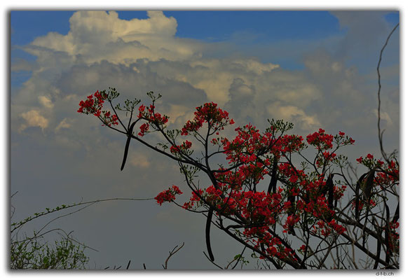 PH0058.Antipolo.Calvary Mountain