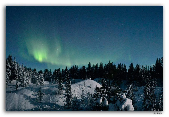 SE0114.Nordlicht
