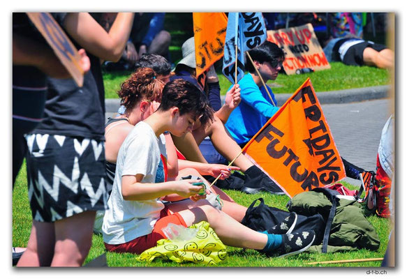 NZ0456.Wellington.Fridays for future