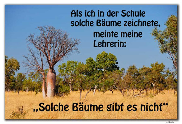 T045.Boab-Baum.AU.
