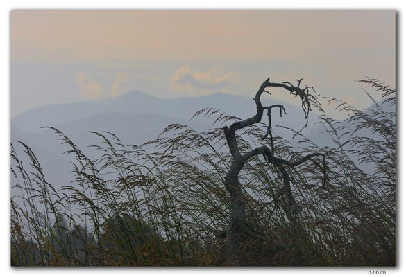 NZ0486.Motueka
