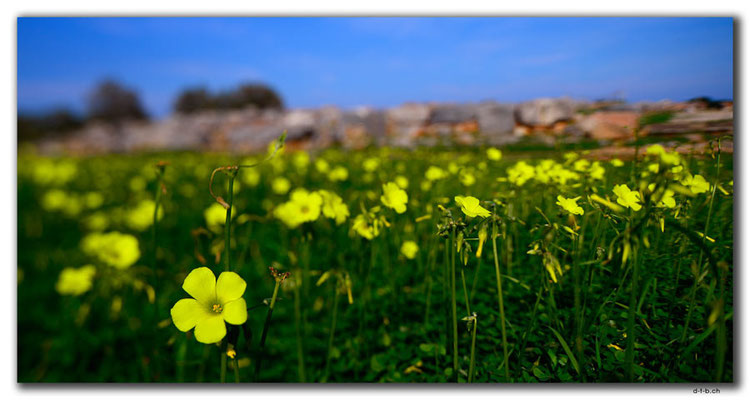 GR0549.Malia.Blumenfeld