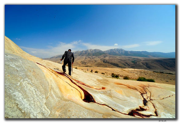 IR0300.Badab Soort