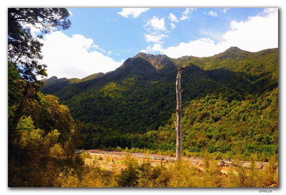 NZ0579.Anatoki Track.Stanley River