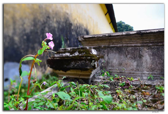 VN0156.Hue.Citadel.Halls of Mandarin