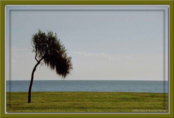A0225.Montevideo,UY