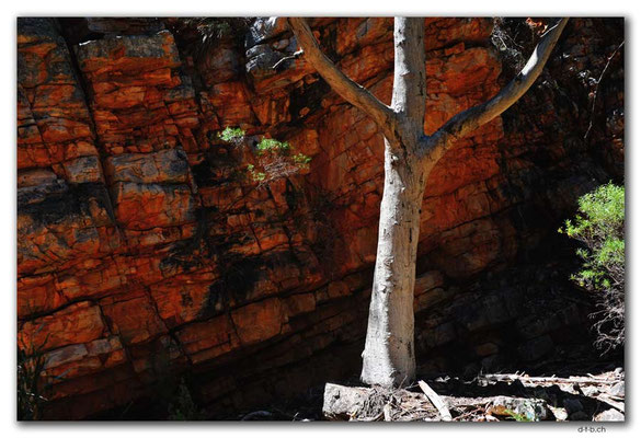 AU1059.Mt.Remarkable N.P.Hidden Valley