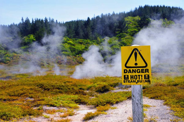 New Zealand.Taupo.Craters of the Moon