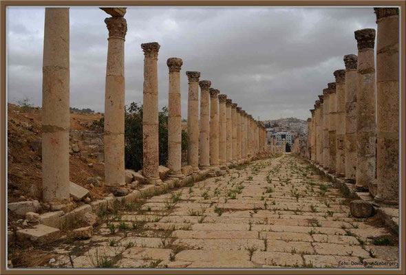 JO072.Südl.Decumanus.Jerash