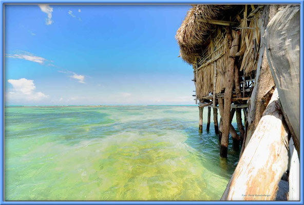 JM092.Pelican Bar