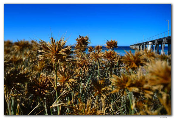 AU1039.Port Neill.Jetty