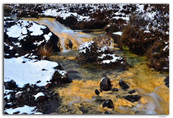 NZ0308.Tongariro N.P.Silica Rapid