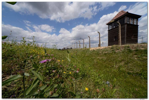 PL028.Birkenau.Wachturm