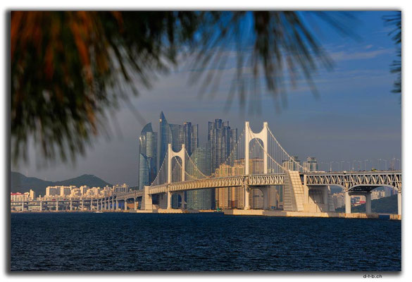 KR0183.Busan.Gwangandaegyo Bridge
