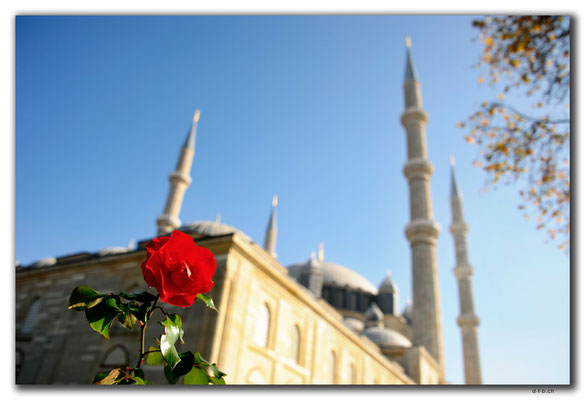 TR0033.Edirne.Selimiye Camii