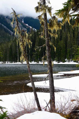 CA0169 Lower Joffre Lake