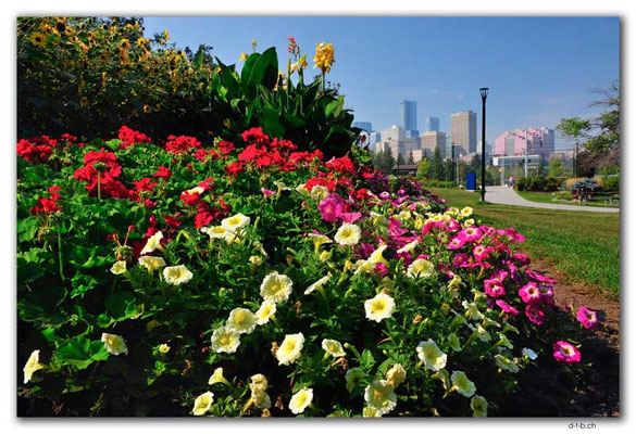 CA0805.Edmonton.Gardens at Muttart