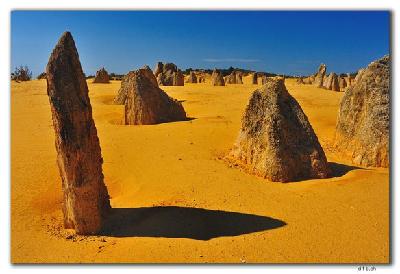 AU0589.Nambung N.P.Pinnacles