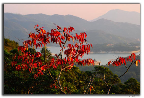 HK0034.Tai Lam Chung Reservoir