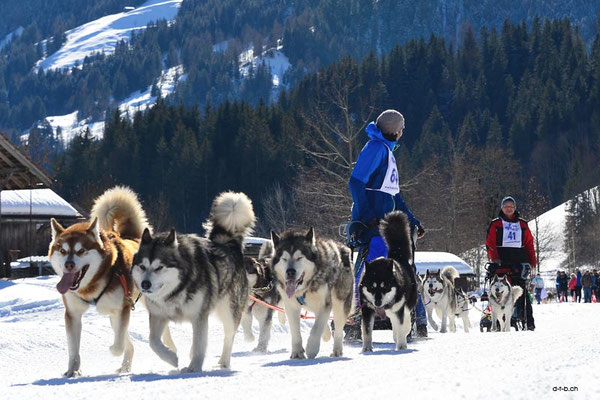 CH1344.SH-Rennen Lenk.Hadorn Roger und Broder René