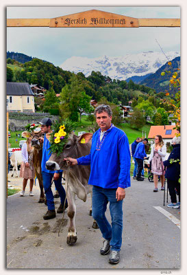 CH1171.Alpspektakel Seewis.Rindercontest