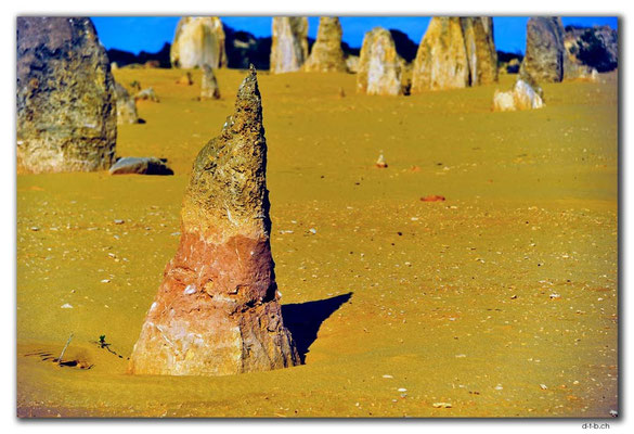 AU0594.Nambung N.P.Pinnacles