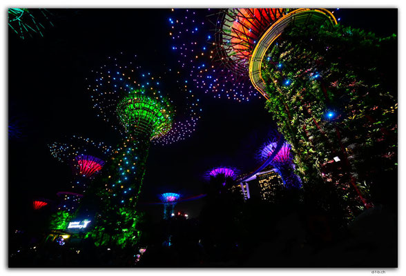 SIN0070.Gardens by the Bay.Supertrees Lightshow