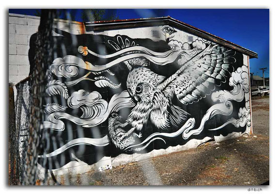 NZ0340.Taupo Streetart