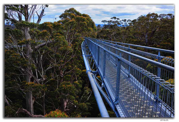 AU0789.Tree Top Walk