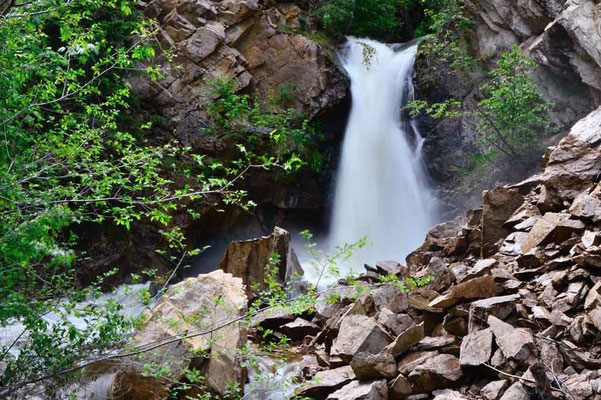 CA0218 Hardy Falls