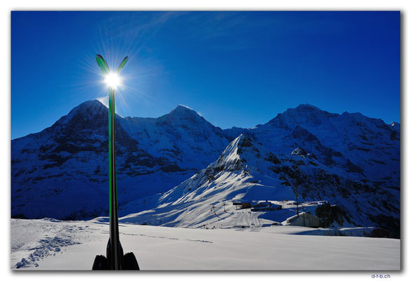 GW0039.Eiger, Mönch und Jungfrau mit Ski