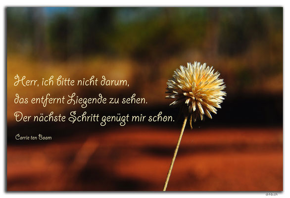 S0272.Blume.AU.Corrie ten Boom