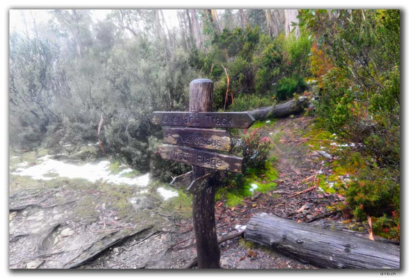 AU1397.Overland Track.Wegweiser