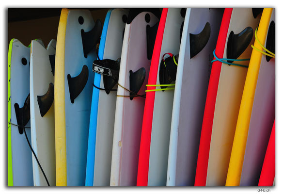 AU1693.Sydney.Palm Beach.Sufboards