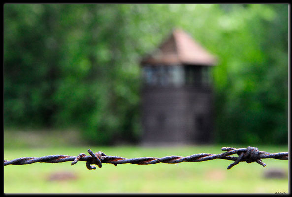 PL038.Birkenau.Stacheldraht