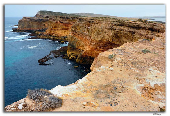 AU1008.Eyre Peninsula.Cummings Lookout