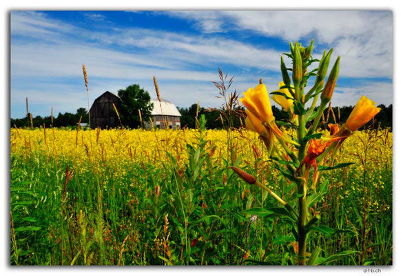 CA1148.Rue Leclair.Farm
