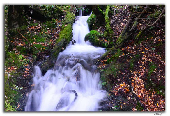 AU1403.Overland Track.Kleiner Wasserfall