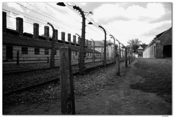 PL005.Auschwitz.Todeszaun