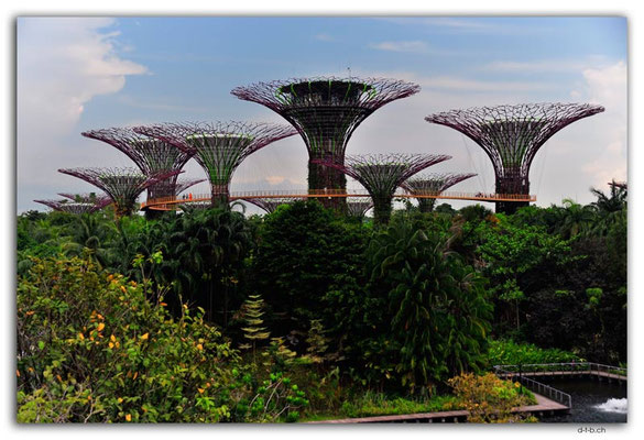 SIN0103.Gardens by the Bay.Supertrees